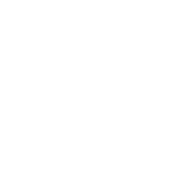 Friendly and Reliable Courier Service