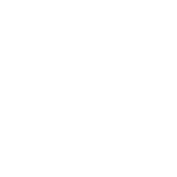 Reliable and Punctual Courier and Removals Service